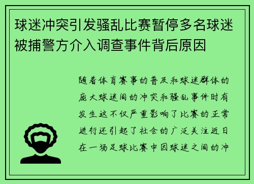 球迷冲突引发骚乱比赛暂停多名球迷被捕警方介入调查事件背后原因
